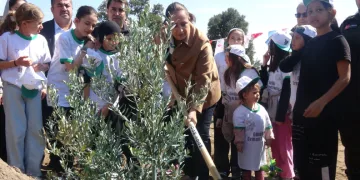 Burdur’da zeytin ve fıstıkçamı fidanları toprakla buluştu