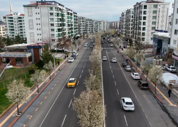 Bulvarlar süs armutlarıyla görsel şölene dönüştü