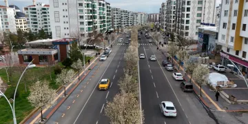 Bulvarlar süs armutlarıyla görsel şölene dönüştü