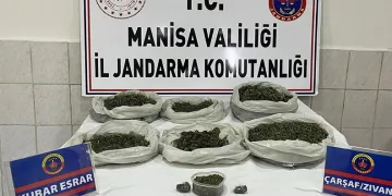 Kontrolden çıkan hafif ticari araç markete daldı: 2 yaralı