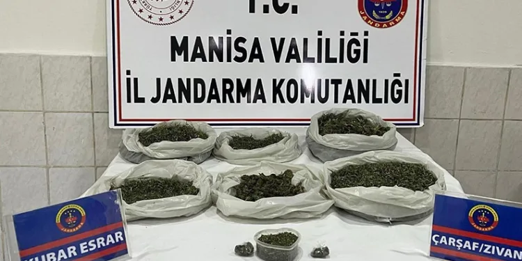 Kontrolden çıkan hafif ticari araç markete daldı: 2 yaralı