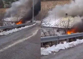 Bursa’da bağ evinde çıkan yangın korkuttu