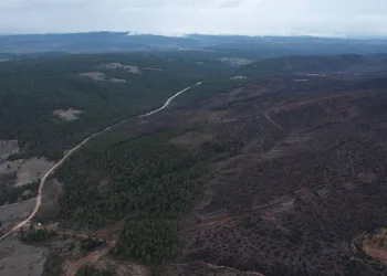 Bursa’da tarihin en büyük orman yangınında yaralar böyle sarıldı