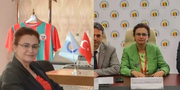 Suriye’den Atılan Yorgun Mermi Profesörü Vurdu