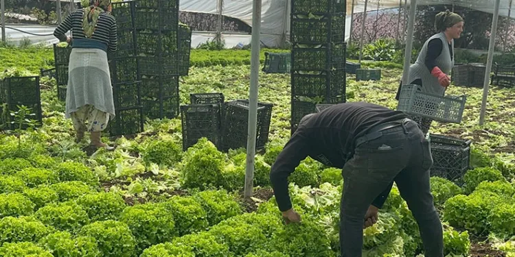Bursa’da dereye düşen adamı ekipler kurtardı
