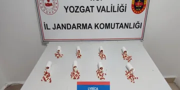 Elazığ’da otomobil mezarlığa girdi: 2 yaralı