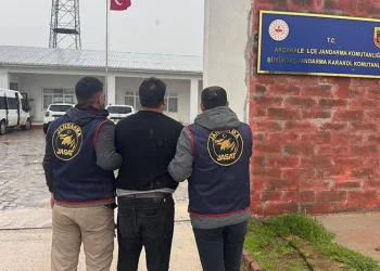 Elazığ’da otomobil mezarlığa girdi: 2 yaralı