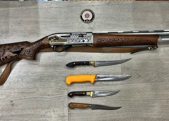 Kontrolden çıkan hafif ticari araç markete daldı: 2 yaralı