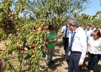 BUÜ, ziraat ve ormancılık alanında dünyada ilk 500’de