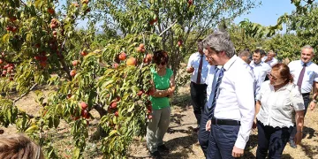 BUÜ, ziraat ve ormancılık alanında dünyada ilk 500’de