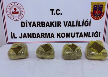 Elazığ’da otomobil mezarlığa girdi: 2 yaralı