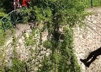 700 yıllık gelenek Bursa’da yeniden yaşatıldı
