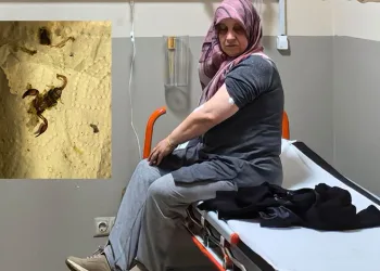 Kamyon ile servis minibüsü çarpıştı 4 kişi yaralandı
