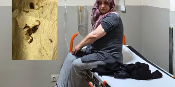 Kamyon ile servis minibüsü çarpıştı 4 kişi yaralandı