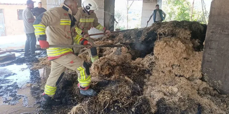 Bakırköy’de seyir halindeki otomobil, tıra arkadan çarptı: 1 yaralı