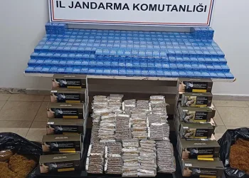 Bursa’da yeşil-beyaz coşku dev ekrana taşındı