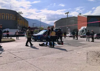 Bursa’da freni patlayan vinç dereye uçtu : Sürücü hayatını kaybetti