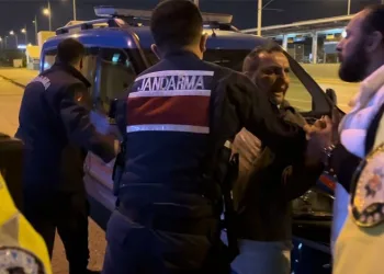 Bursa’da domuzlar piknik alanlarına indi
