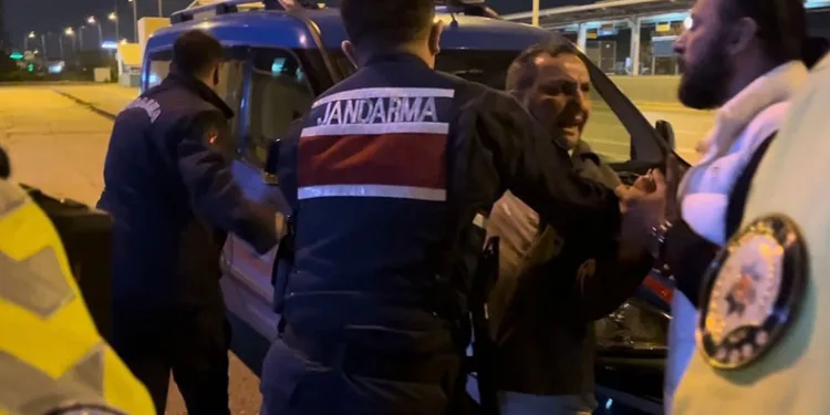 Bursa’da domuzlar piknik alanlarına indi