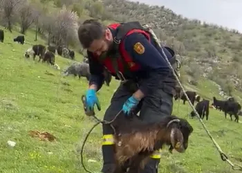 Elazığ’da otomobil mezarlığa girdi: 2 yaralı