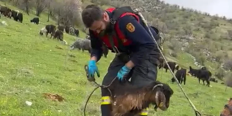 Elazığ’da otomobil mezarlığa girdi: 2 yaralı