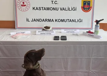Şanlıurfa’da son kullanım tarihi geçmiş tonlarca gıda ürünü ele geçirildi