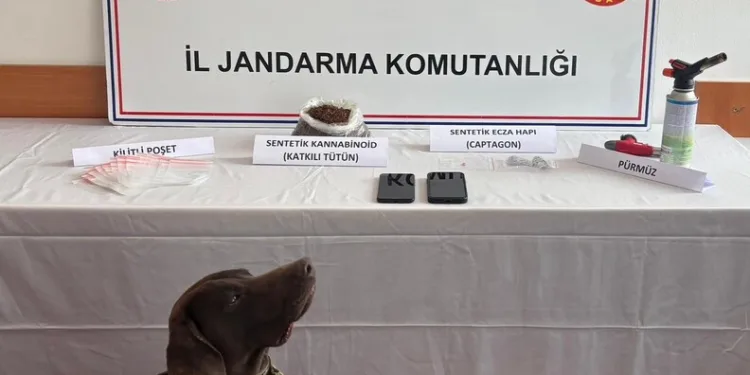 Şanlıurfa’da son kullanım tarihi geçmiş tonlarca gıda ürünü ele geçirildi
