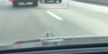 Şanlıurfa’da son kullanım tarihi geçmiş tonlarca gıda ürünü ele geçirildi