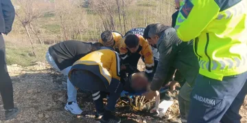 Şanlıurfa’da son kullanım tarihi geçmiş tonlarca gıda ürünü ele geçirildi
