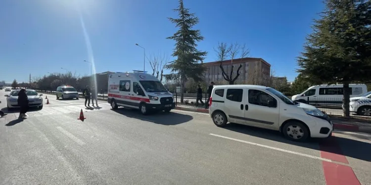 Şanlıurfa’da son kullanım tarihi geçmiş tonlarca gıda ürünü ele geçirildi