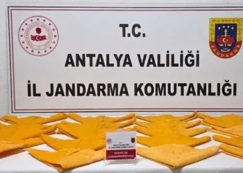 Adana’da 4 ruhsatsız silah ele geçirildi