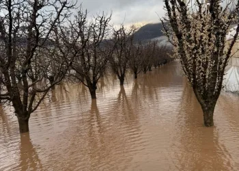 Adana’da 4 ruhsatsız silah ele geçirildi