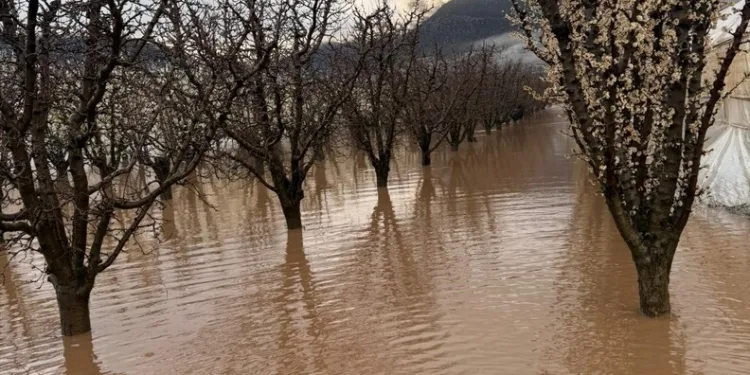 Adana’da 4 ruhsatsız silah ele geçirildi