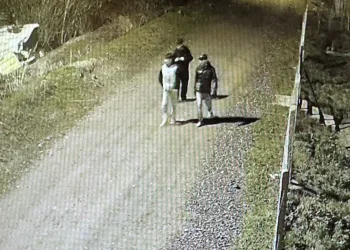 Tırın çarptığı hafif ticari araçta 3 kişi yaralandı