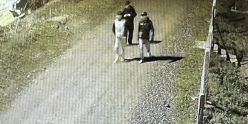 Tırın çarptığı hafif ticari araçta 3 kişi yaralandı