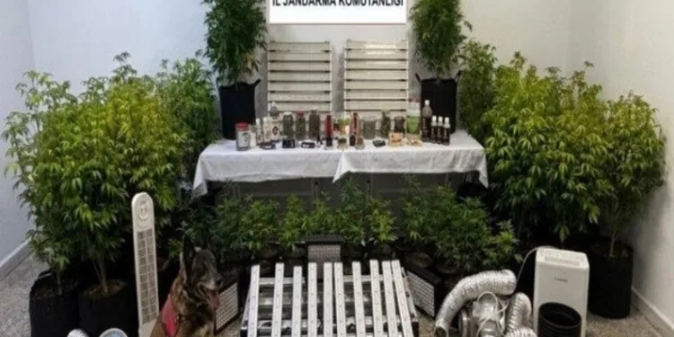 Ayvalık’ta kaçak içki ve uyuşturucudan 2 tutuklama