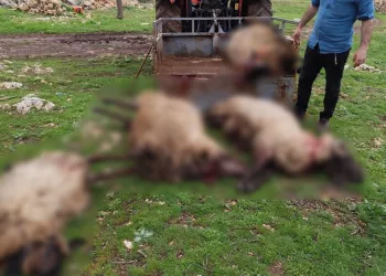 Denizli Güney’de 4.0 büyüklüğünde deprem