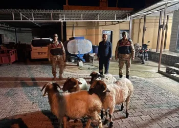 Antalya’da depoya inmek isterken düşen genç yaralandı