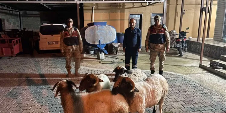 Antalya’da depoya inmek isterken düşen genç yaralandı