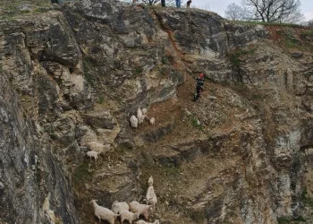 Antalya’da depoya inmek isterken düşen genç yaralandı