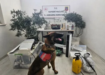 Antalya’da depoya inmek isterken düşen genç yaralandı