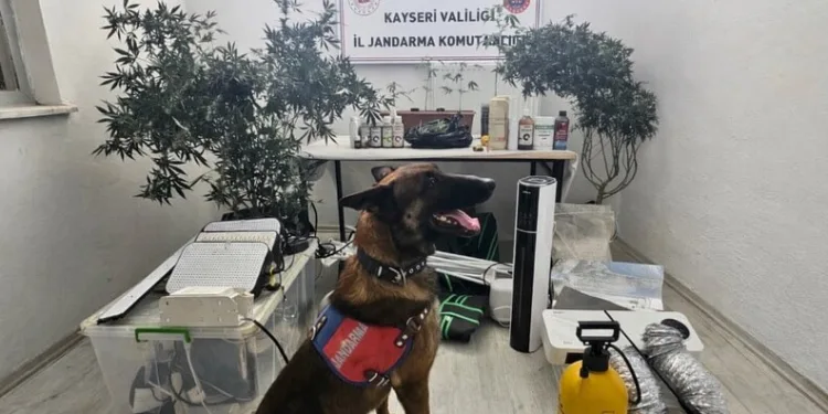Antalya’da depoya inmek isterken düşen genç yaralandı