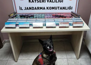 Kahramanmaraş’ta akrobatik hareketler yapan motosikletliye 47 bin TL ceza