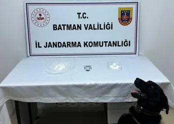Motosikletin önünü kaldırarak yaptığı paylaşım 46 bin TL’ye mal oldu