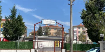 Yayaya çarpmamak için direksiyonu kardı, ağaca çarptı: 6 yaralı