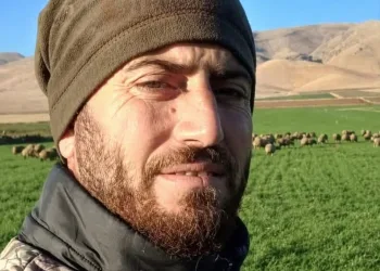 Yayaya çarpmamak için direksiyonu kardı, ağaca çarptı: 6 yaralı