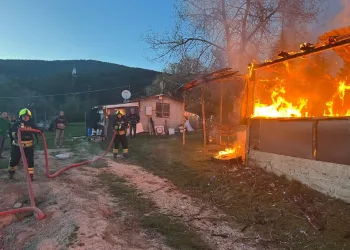 Yayaya çarpmamak için direksiyonu kardı, ağaca çarptı: 6 yaralı