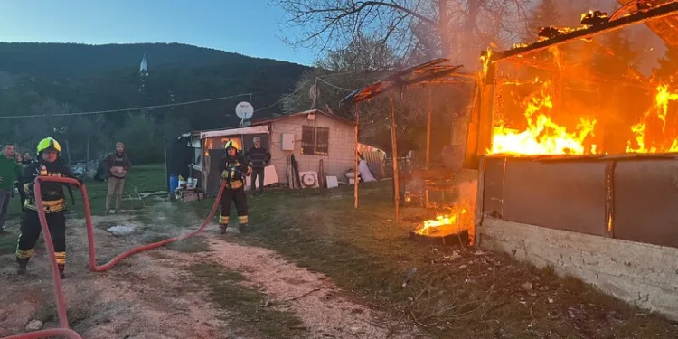 Yayaya çarpmamak için direksiyonu kardı, ağaca çarptı: 6 yaralı