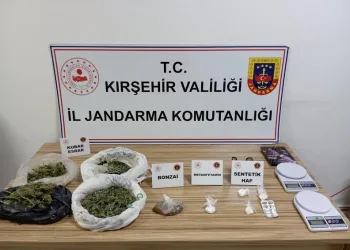Yayaya çarpmamak için direksiyonu kardı, ağaca çarptı: 6 yaralı
