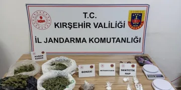 Yayaya çarpmamak için direksiyonu kardı, ağaca çarptı: 6 yaralı